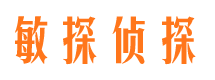 高陵侦探调查公司